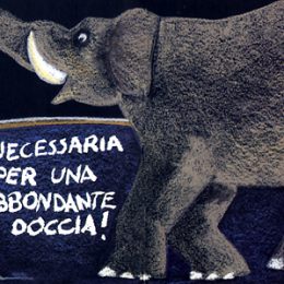 CORAGGIOELEFANTE04