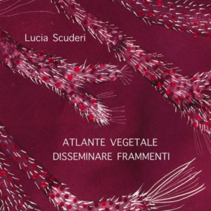 Atlante Vegetale | Lucia Scuderi - Illustratrice, autrice, pittrice