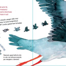 Gli Uccelli | Lucia Scuderi - Illustratrice, autrice, pittrice