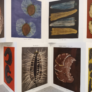 mostra-2024-1