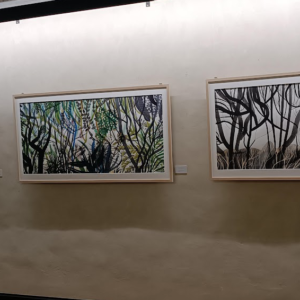 mostra-giardini-4