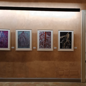 mostra-giardini-7